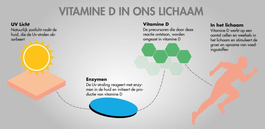 Vitamine D Tekort Voeding En Zon Om Ons Gezond Te Houden Stannah